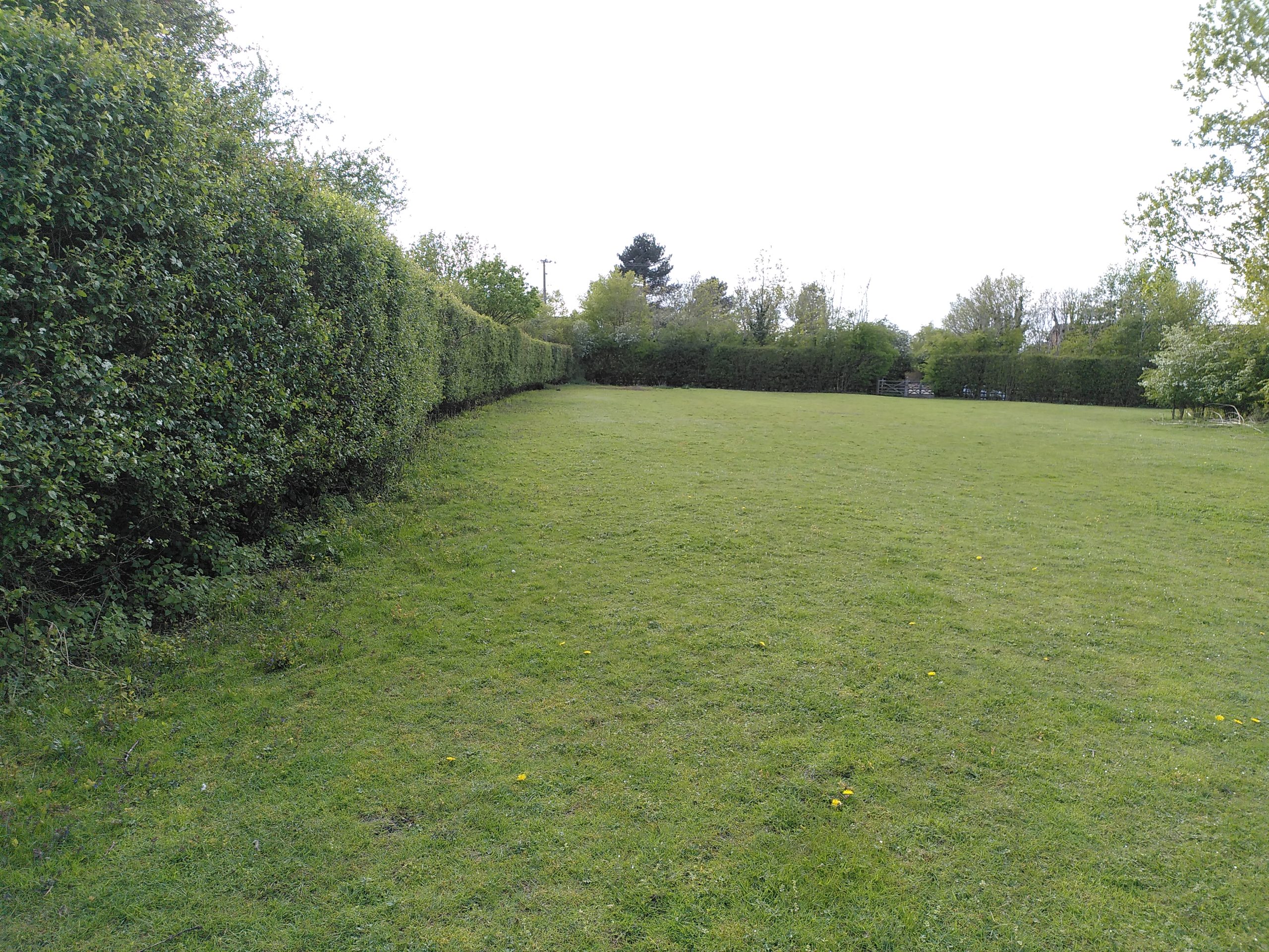 Onyett's field, Warboys.

Photo credit to V Morgan